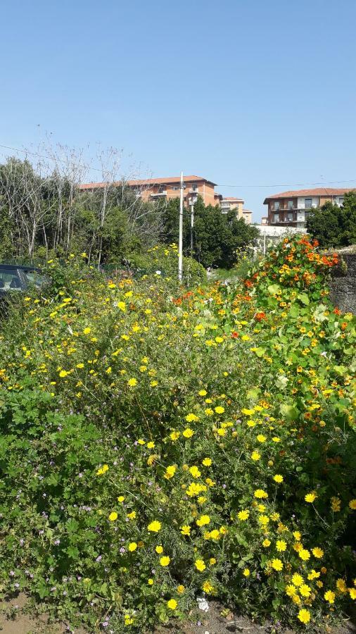 הוילה קטאניה Carrubo - Giardino In Citta מראה חיצוני תמונה